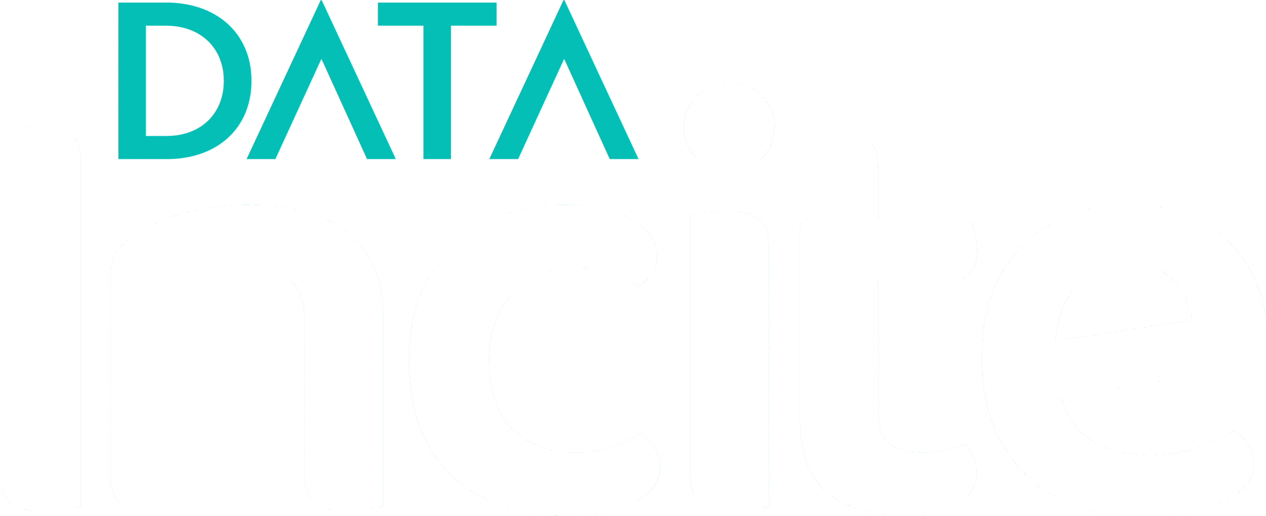 Data Incite - Marketing Collective Logo